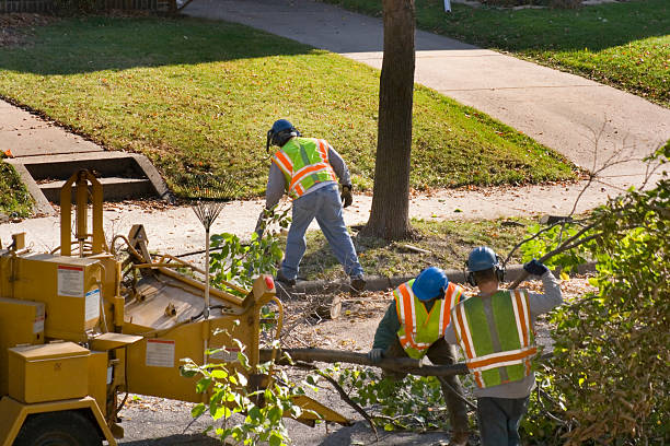 Best Seasonal Cleanup  in West Bountiful, UT